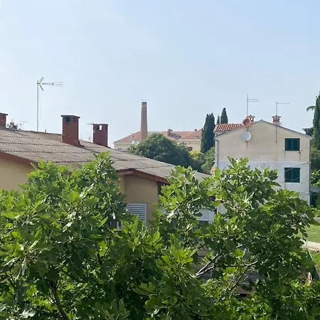 Kate Apartman *